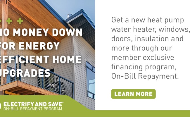 Mastering Energy Efficiency With These Home Upgrades | Tri-State Generation And Transmission ...